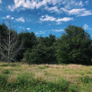 Meet your Posher, Payton